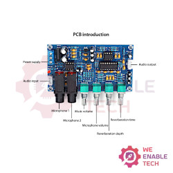 XH-M173 Karaoke Microphone Amplifier Module