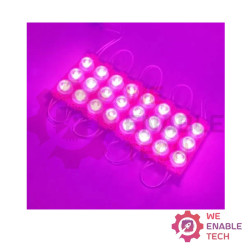 3 LED Module IP68- Pink
